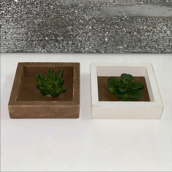 HOME DECOR Wooden Framed Faux Succulent - Picture 2 of 6